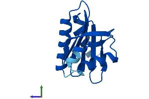 AlphaFold protein structure predicition of Human Recombinant PFN4 Protein, UniprotID Q8NHR9