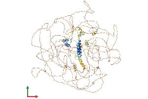 AlphaFold protein structure predicition of Mouse Recombinant Bcl9 Protein, UniprotID Q9D219