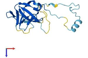 AlphaFold protein structure predicition of Human Recombinant ERVK-19 Protein, UniprotID P63120