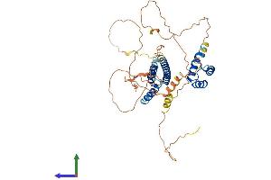 AlphaFold protein structure predicition of Human Recombinant PKNOX1 Protein, UniprotID P55347