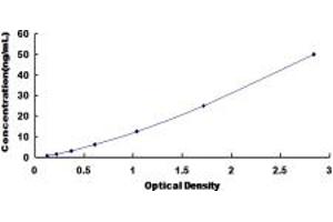 Typical standard curve (DPYS Kit ELISA)