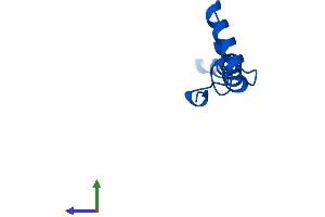 AlphaFold protein structure predicition of Mouse Recombinant Ndufa1 Protein, UniprotID O35683
