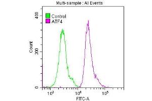 Overlay histogram showing Hela cells stained with ABIN7127347 (red line) at 1:50.