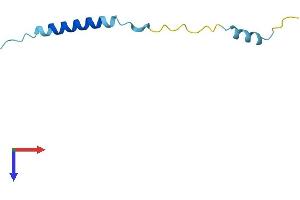 AlphaFold protein structure predicition of Mouse Recombinant Mtatp8 Protein, UniprotID P03930