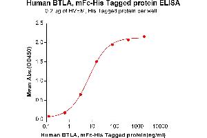 ELISA plate pre-coated by 2 μg/mL (100 μL/well) Human HVEM, His tagged protein ABIN6964089, ABIN7042433 and ABIN7042434 can bind Human BTLA,mFc-His tagged protein (ABIN6961116, ABIN7042261 and ABIN7042262) in a linear range of 0.