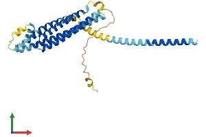 AlphaFold protein structure predicition of Mouse Recombinant Stx4 Protein, UniprotID P70452