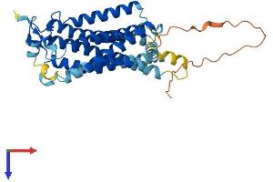 AlphaFold protein structure predicition of Human Recombinant LPAR3 Protein, UniprotID Q9UBY5