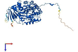 AlphaFold protein structure predicition of Mouse Recombinant Dpys Protein, UniprotID Q9EQF5