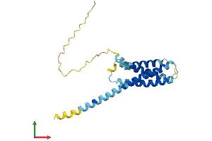 AlphaFold protein structure predicition of Mouse Recombinant Cmtm4 Protein, UniprotID Q8CJ61