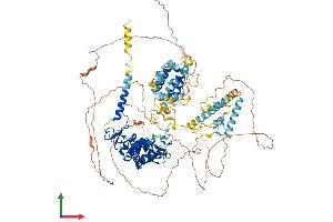 AlphaFold protein structure predicition of Human Recombinant RUBCN Protein, UniprotID Q92622