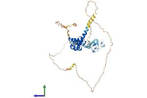 AlphaFold protein structure predicition of Human Recombinant LHX3 Protein, UniprotID Q9UBR4
