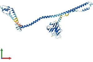AlphaFold protein structure predicition of Mouse Recombinant Trim39 Protein, UniprotID Q9ESN2