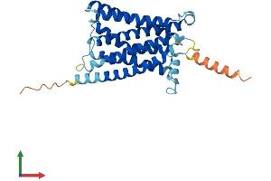 AlphaFold protein structure predicition of Mouse Recombinant Mrgpre Protein, UniprotID Q91ZB7