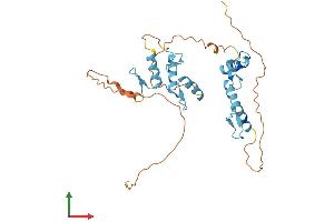 AlphaFold protein structure predicition of Human Recombinant ZNF784 Protein, UniprotID Q8NCA9