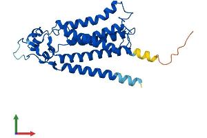 AlphaFold protein structure predicition of Human Recombinant PLPP5 Protein, UniprotID Q8NEB5