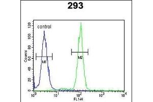 OST alpha Antibody (C-term) (ABIN653795 and ABIN2843077) flow cytometric analysis of 293 cells (right histogram) compared to a negative control cell (left histogram). (OST alpha anticorps  (C-Term))