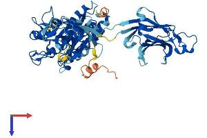 AlphaFold protein structure predicition of Human Recombinant CPNE4 Protein, UniprotID Q96A23