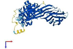 AlphaFold protein structure predicition of Mouse Recombinant Ap3m1 Protein, UniprotID Q9JKC8