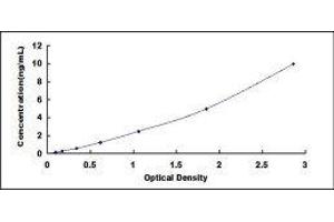Cytochrome C Oxidase Subunit IV Isoform 1 (COX4I1) ELISA Kit