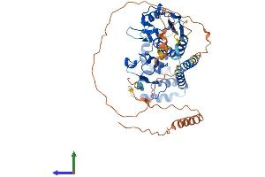 AlphaFold protein structure predicition of Mouse Recombinant Amz1 Protein, UniprotID Q8BVF9