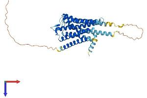 AlphaFold protein structure predicition of Mouse Recombinant Htr5a Protein, UniprotID P30966