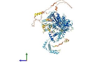AlphaFold protein structure predicition of Mouse Recombinant Smarca1 Protein, UniprotID Q6PGB8