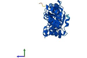 AlphaFold protein structure predicition of Mouse Recombinant Qprt Protein, UniprotID Q91X91