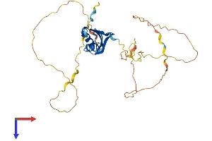 AlphaFold protein structure predicition of Human Recombinant RBFOX3 Protein, UniprotID A6NFN3