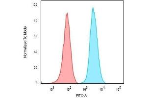 Flow Cytometric Analysis of Raji cells.
