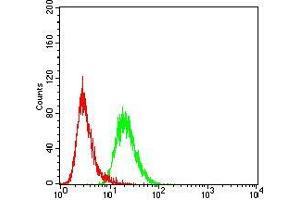 Flow cytometric analysis of HeLa cells using FBXL10 mouse mAb (green) and negative control (red).