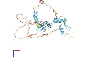 AlphaFold protein structure predicition of Mouse Recombinant Snai3 Protein, UniprotID Q9QY31