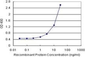 Sandwich ELISA detection sensitivity ranging from 1 ng/mL to 100 ng/mL. (IRF3 (Humain) Matched Antibody Pair)