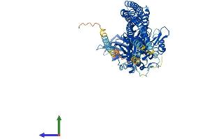 AlphaFold protein structure predicition of Human Recombinant TBK1 Protein, UniprotID Q9UHD2