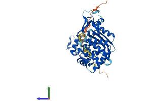 AlphaFold protein structure predicition of Mouse Recombinant Tent5c Protein, UniprotID Q5SSF7