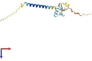 AlphaFold protein structure predicition of Mouse Recombinant Rnf24 Protein, UniprotID Q8BGI1