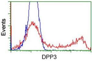 HEK293T cells transfected with either RC219658 overexpress plasmid (Red) or empty vector control plasmid (Blue) were immunostained by anti-DPP3 antibody (ABIN2454857), and then analyzed by flow cytometry. (DPP3 anticorps)