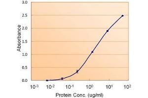 Image no. 1 for anti-Calnexin (CANX) (Internal Region) antibody (ABIN401659) (Calnexin anticorps  (Internal Region))
