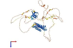 AlphaFold protein structure predicition of Mouse Recombinant Efs Protein, UniprotID Q64355