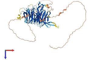 AlphaFold protein structure predicition of Mouse Recombinant Chaf1b Protein, UniprotID Q9D0N7