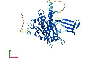 AlphaFold protein structure predicition of Human Recombinant USP12 Protein, UniprotID O75317