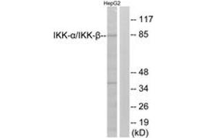 Western blot analysis of extracts from HepG2 cells, using IKK-alpha/beta (Ab-180/181) Antibody.