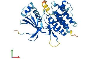 AlphaFold protein structure predicition of Human Recombinant PDIK1L Protein, UniprotID Q8N165