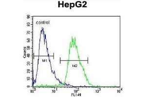 CACNA2D3 Antibody (C-term) flow cytometric analysis of HepG2 cells (right histogram) compared to a negative control cell (left histogram). (CACNA2D3 anticorps  (C-Term))