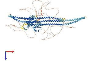 AlphaFold protein structure predicition of Mouse Recombinant Slk Protein, UniprotID O54988