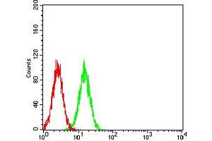 Flow cytometric analysis of HeLa cells using BAG1 mouse mAb (green) and negative control (red).