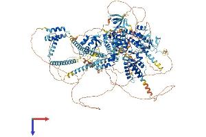 AlphaFold protein structure predicition of Human Recombinant BAZ1B Protein, UniprotID Q9UIG0