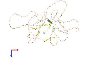 AlphaFold protein structure predicition of Mouse Recombinant Bcas1 Protein, UniprotID Q80YN3