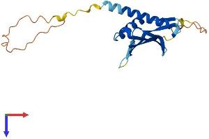 AlphaFold protein structure predicition of Human Recombinant DDIT4L Protein, UniprotID Q96D03