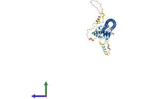 AlphaFold protein structure predicition of Mouse Recombinant Atg14 Protein, UniprotID Q8CDJ3