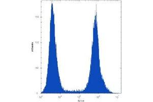 RUNX1 antibody flow cytometric analysis of HeLa cells (right histogram) compared to a negative control (left histogram).